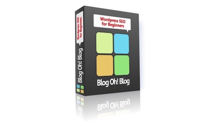 WordPress SEO for Beginners – Blog Oh! Blog