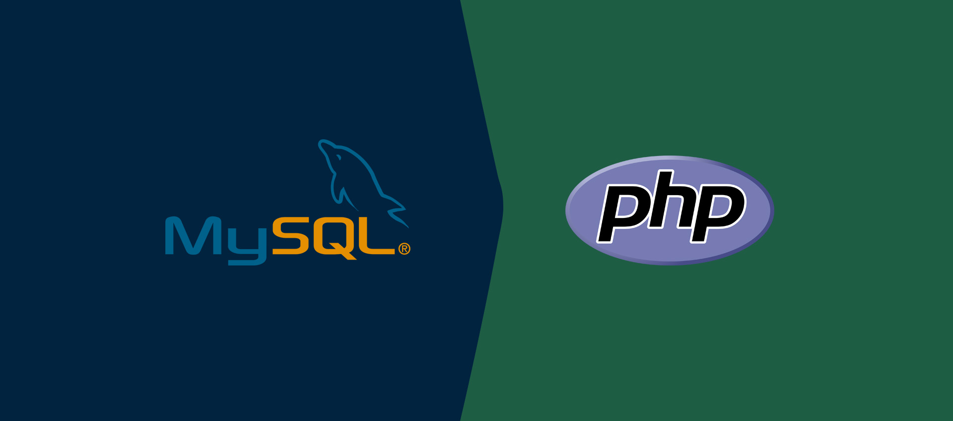 درک ارتباط PHP و MySQL در طراحی وب سایت