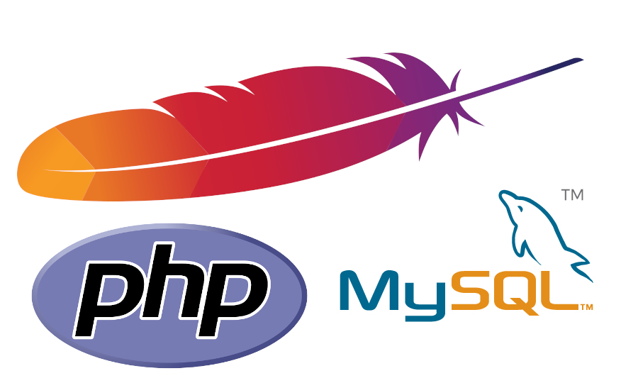 قدرت PHP و My SQL در طراحی وب سایت