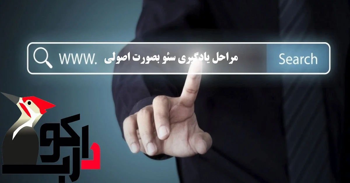 یادگیری سئو: مراحل یادگیری سئو به صورت اصولی