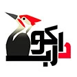 فاطمه علائی