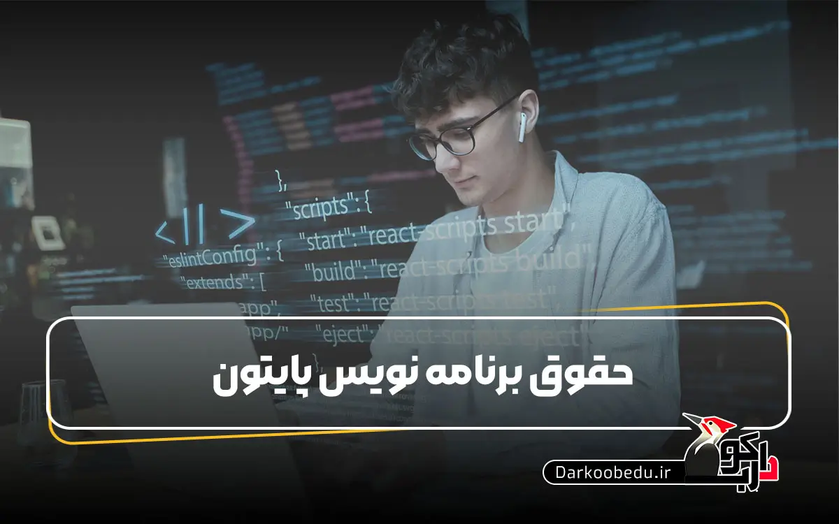 درآمد برنامه نویس پایتون و بازار کار آن